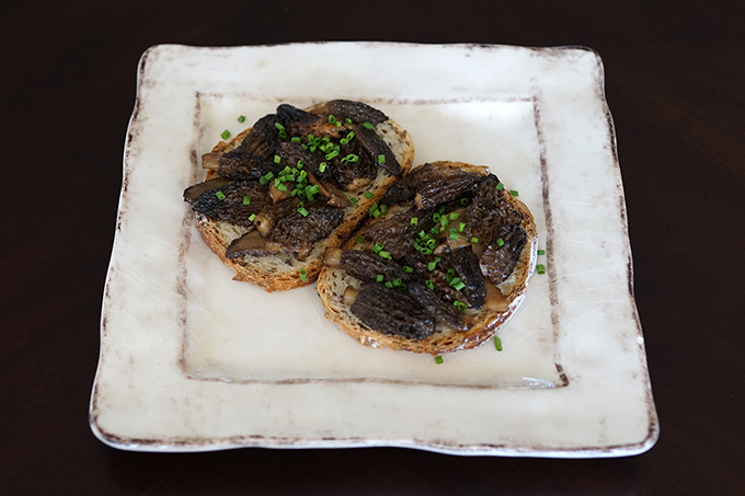 France, Morel Tartine