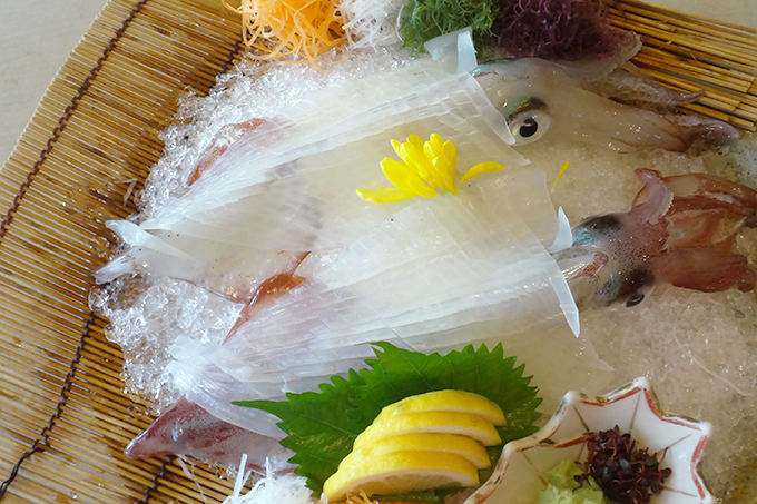 Japan, Squid Sashimi