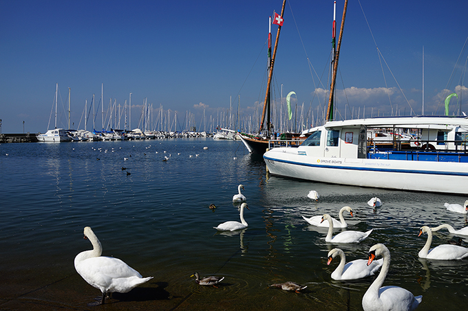 Switzerland, Lausanne, Ouchy Harbour