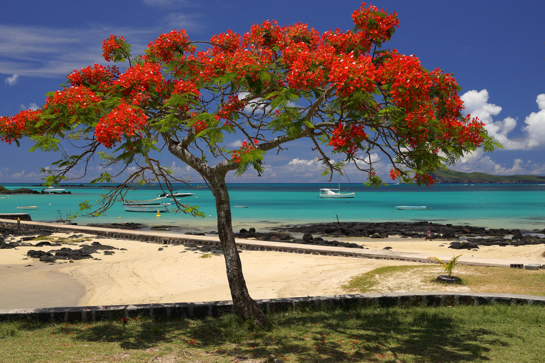 Africa, Mauritius, Cap Malheureux