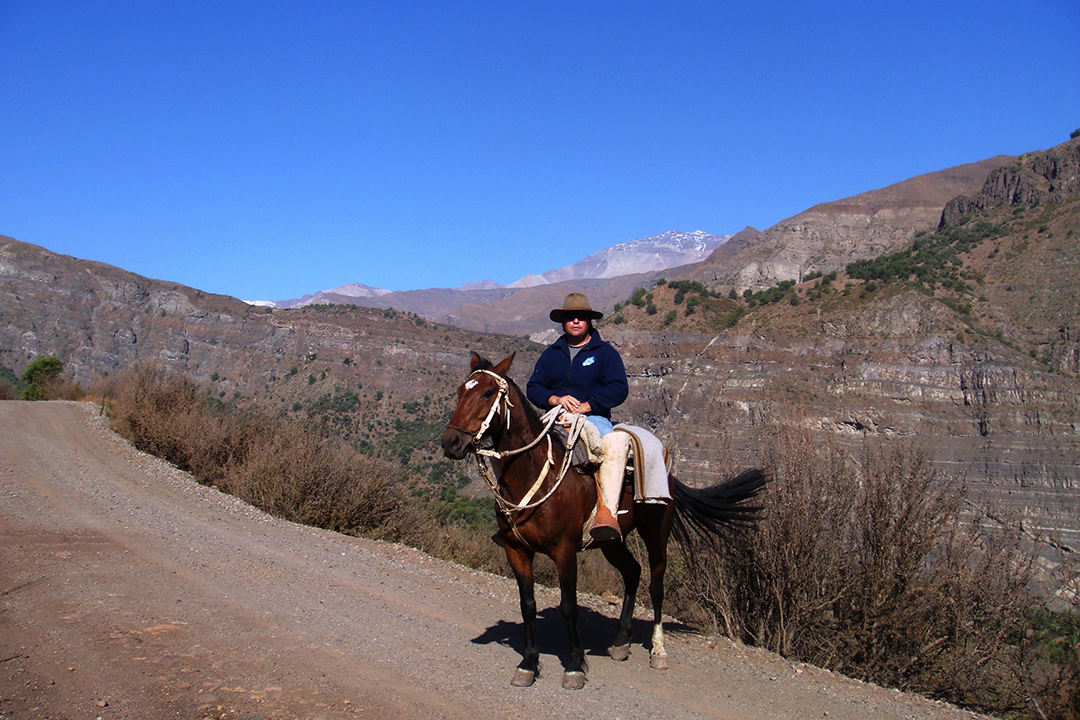 Chile, Andes Mountains, Horseback Rider