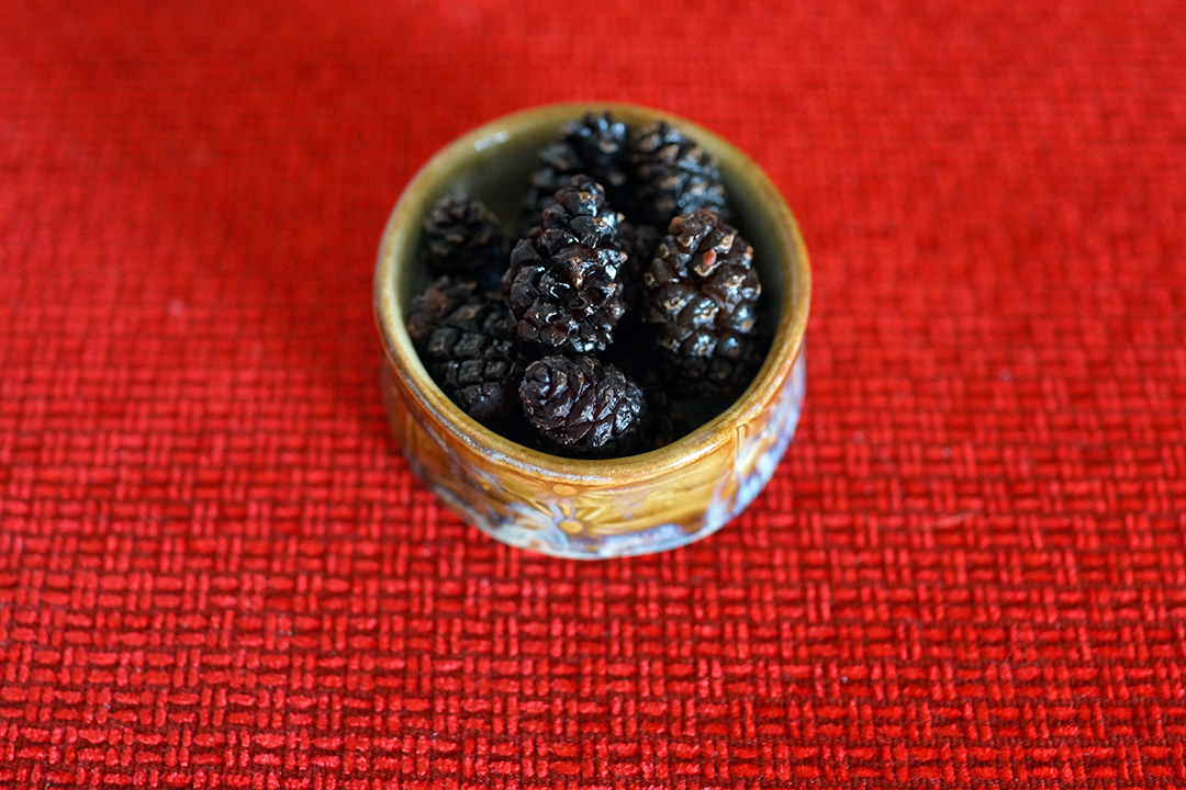 Lithuania, Candied Pine Cones