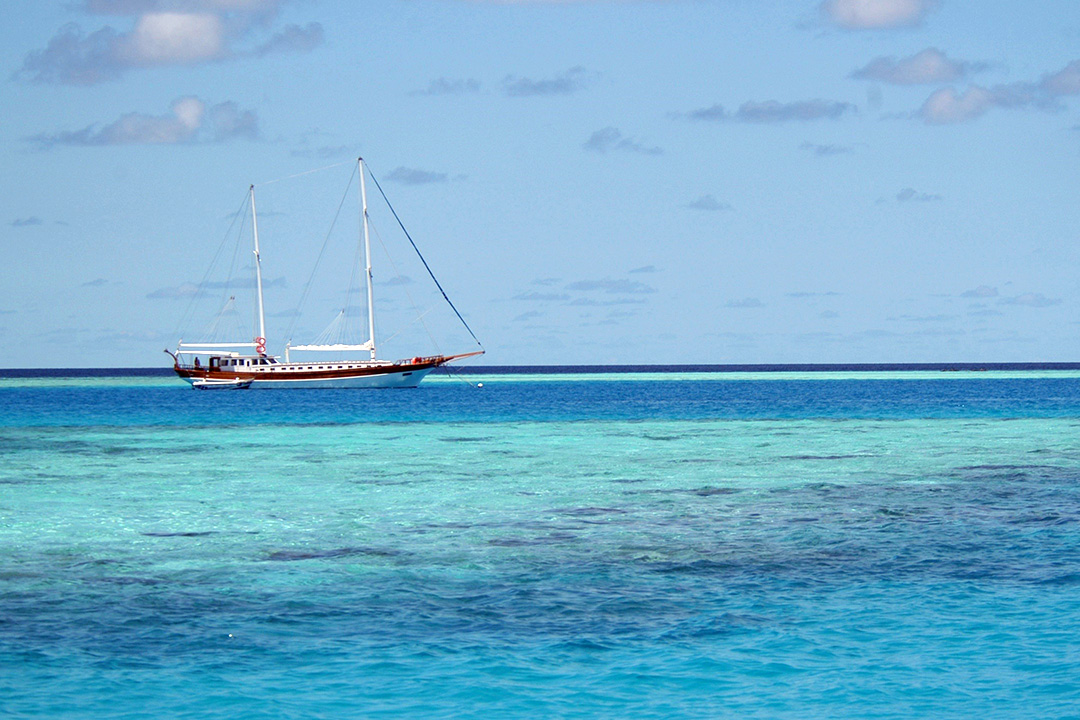 Maldives, Rangali Island, Sailboat