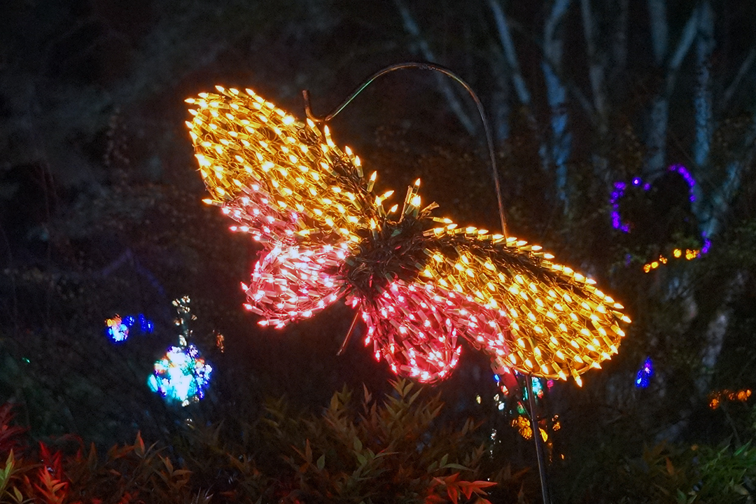 USA, Bellevue Botanical Garden, Lights Display