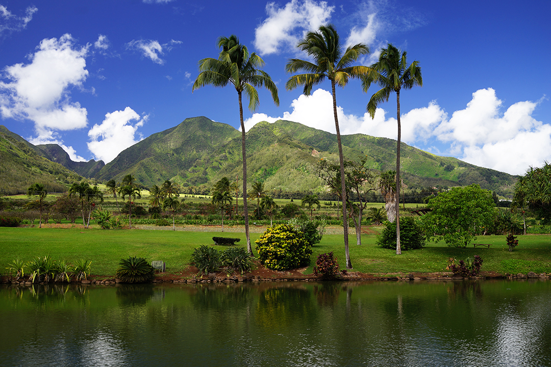 USA, Hawaii, Maui, Maui Tropical Plantation