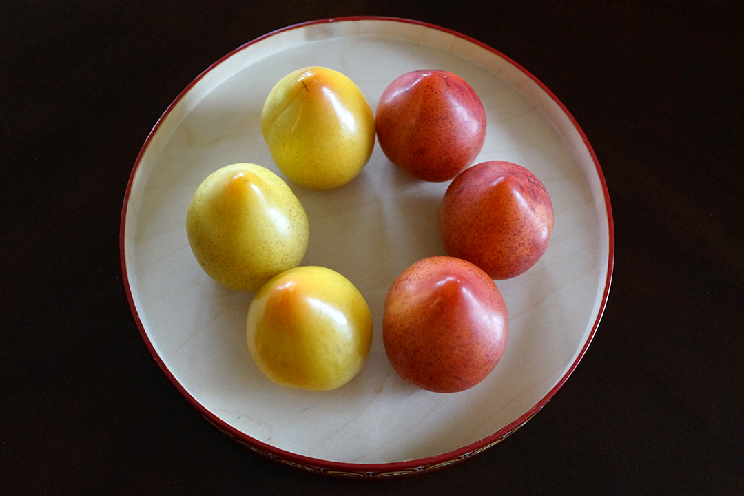 不成熟和成熟的 Lemon李子