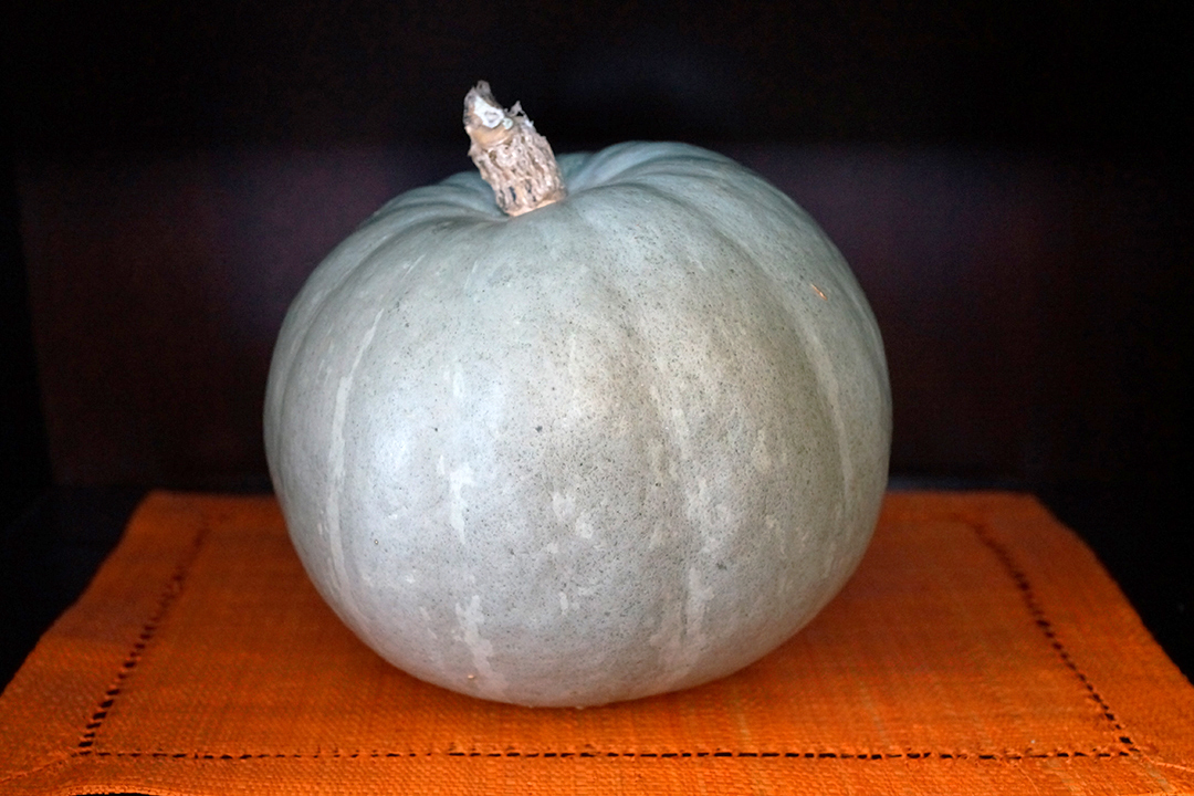 Blue Pumpkin