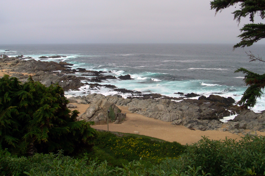 Chile, Valparaiso, Isla Negra