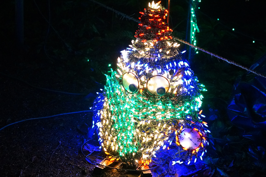 USA, Bellevue Botanical Garden, Lights Display