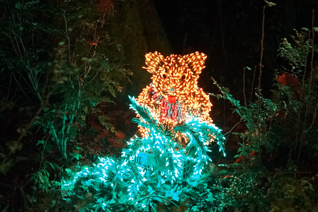 USA, Bellevue Botanical Garden, Lights Display
