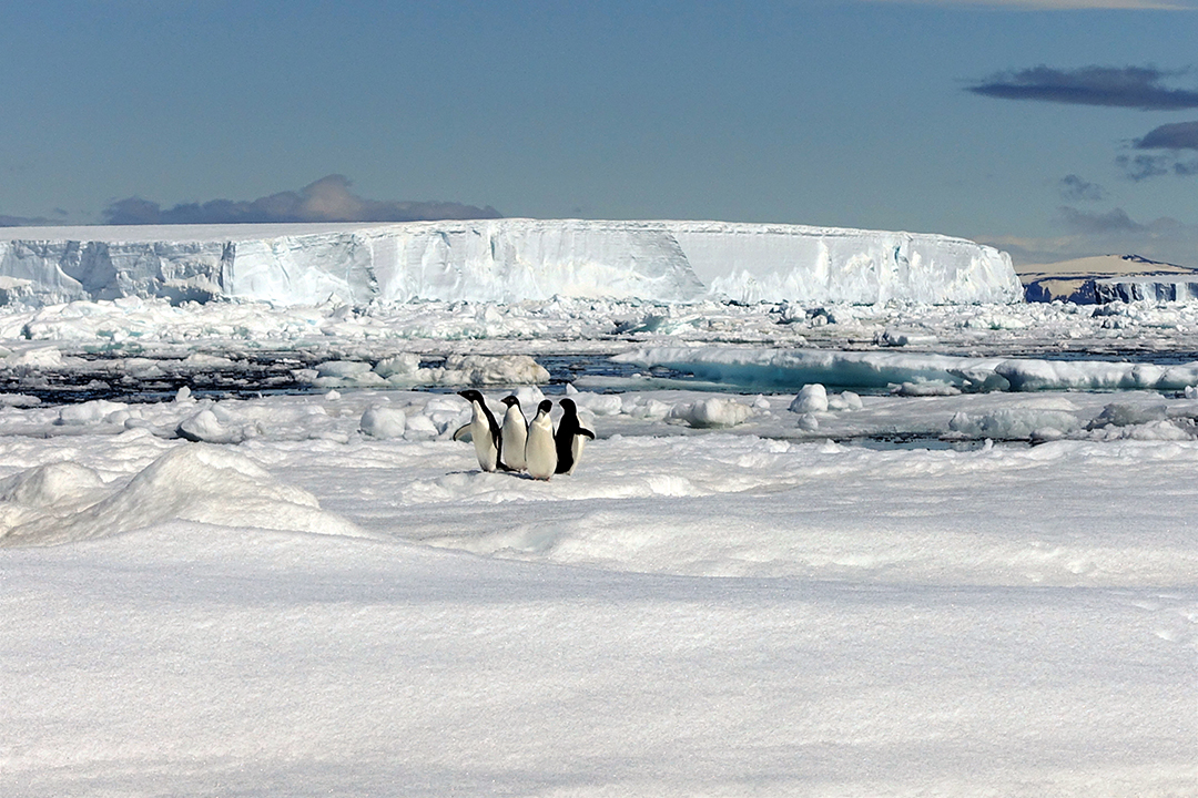 Antarctica, Fridtjof Strait
