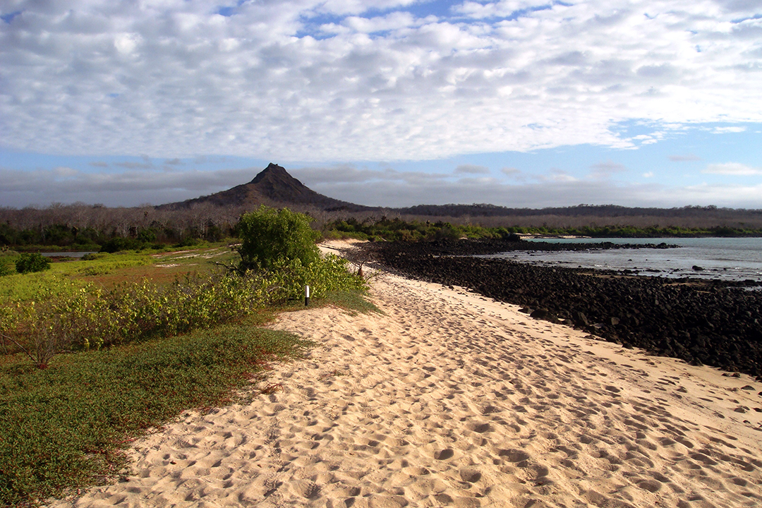 Ecuador, Galapagos, Santa Cruz Island, Cerro Dragon
