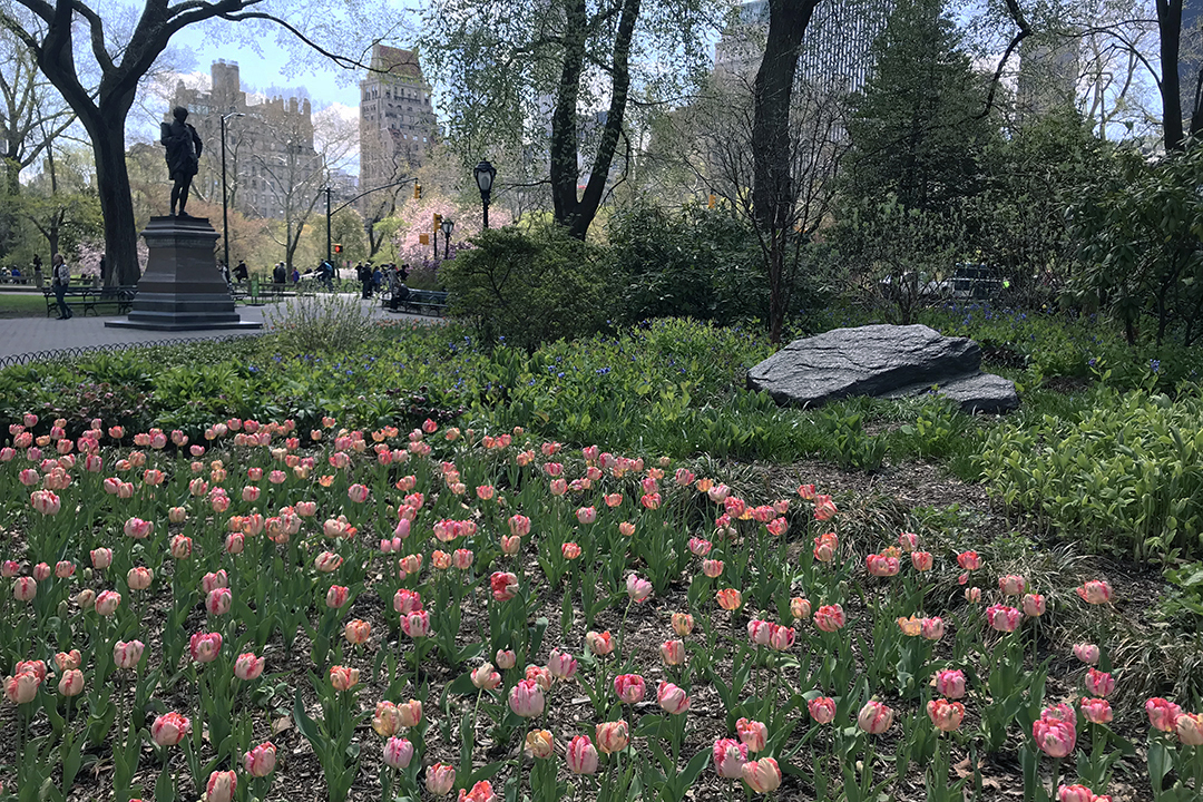 États-Unis, New York, Central Park
