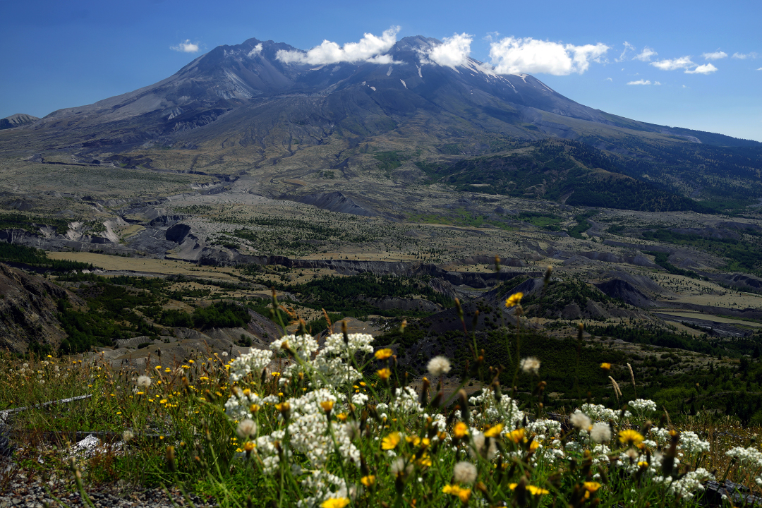 États-Unis, Nord-Ouest Pacifique, Monument Volcanique National Mont St. Helens