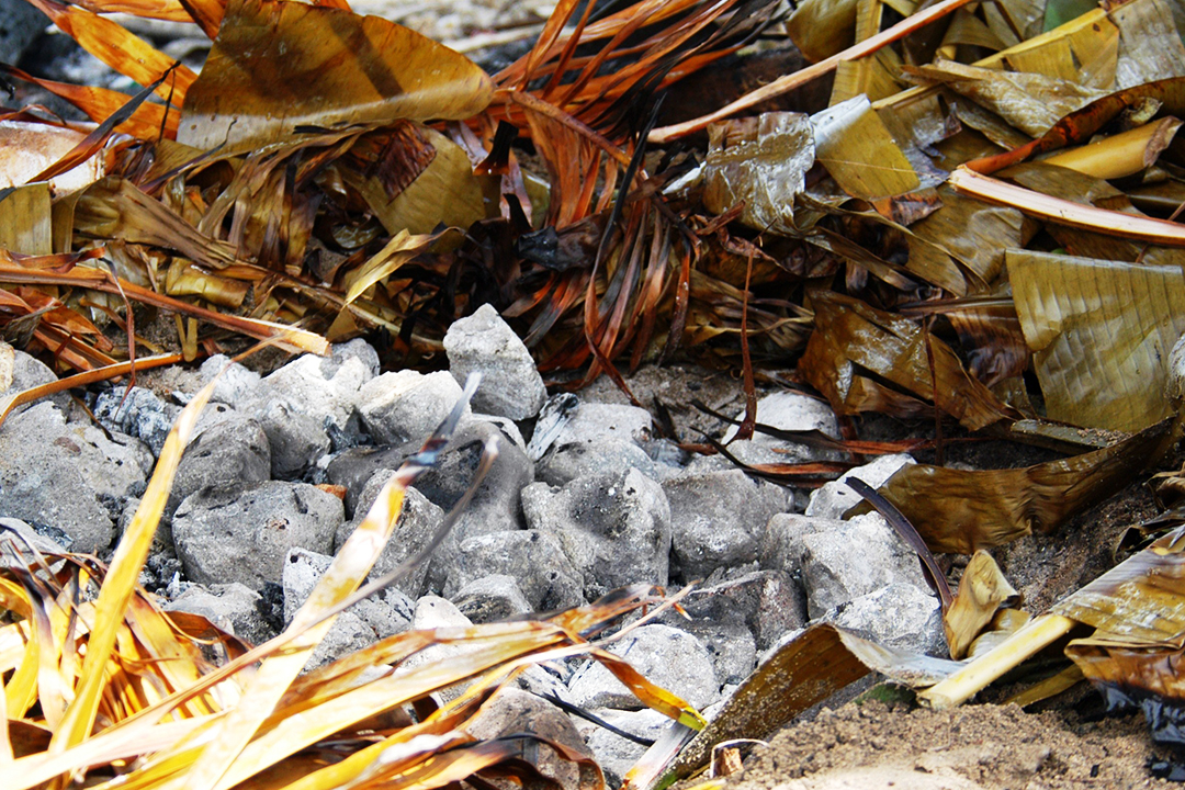 Fidji, Île de Qamea, Lovo (Four Souterrain)