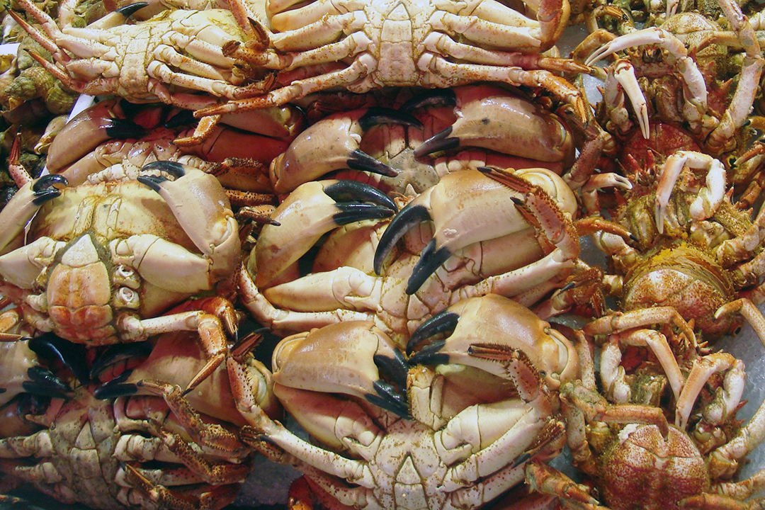 France, Trouville-Sur-Mer, Fish Market, Crabs