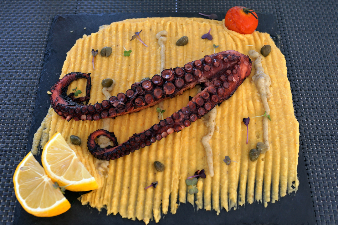 Greece, Santorini, Octopus