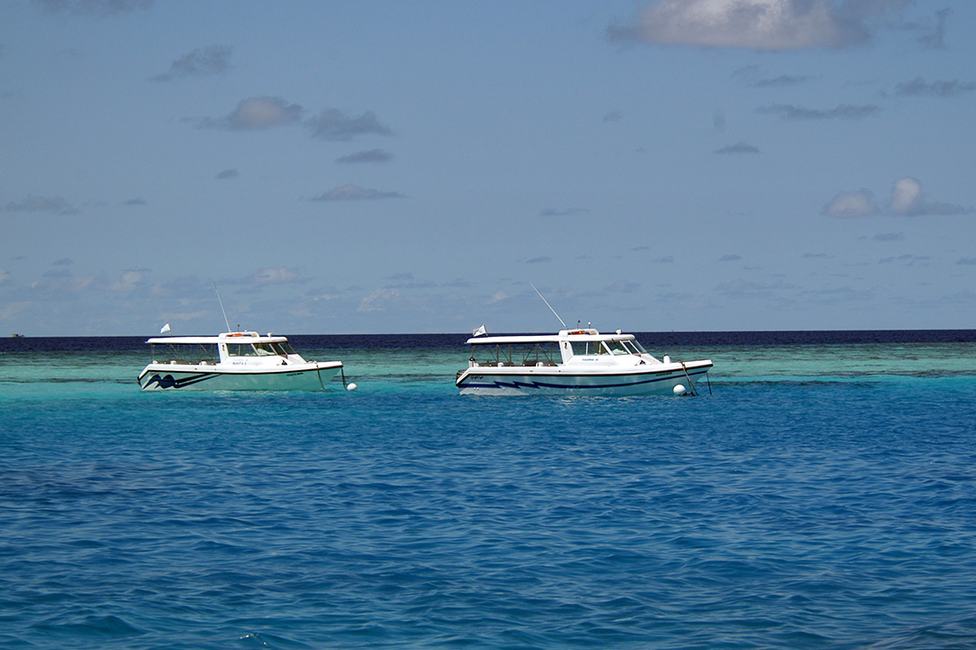 马尔代夫, 海岸线