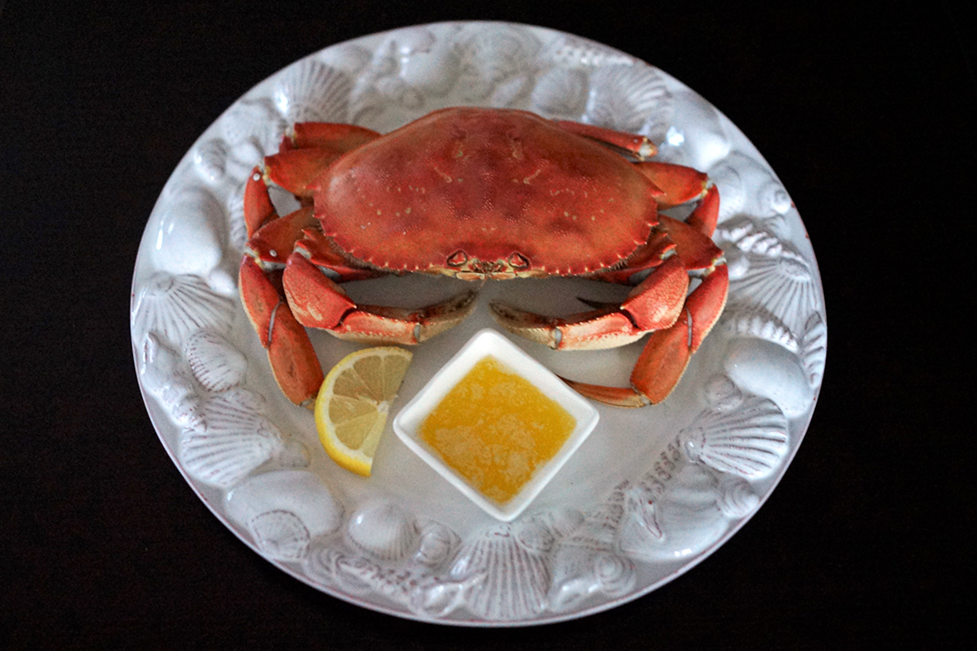 États-Unis, Nord-Ouest Pacifique, Crabe Dungeness