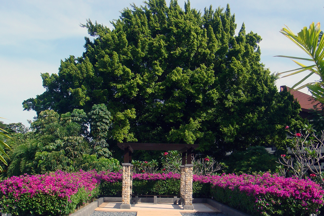 Malaysia, Penang, Shangri-La Rasa Sayang Resort & Spa