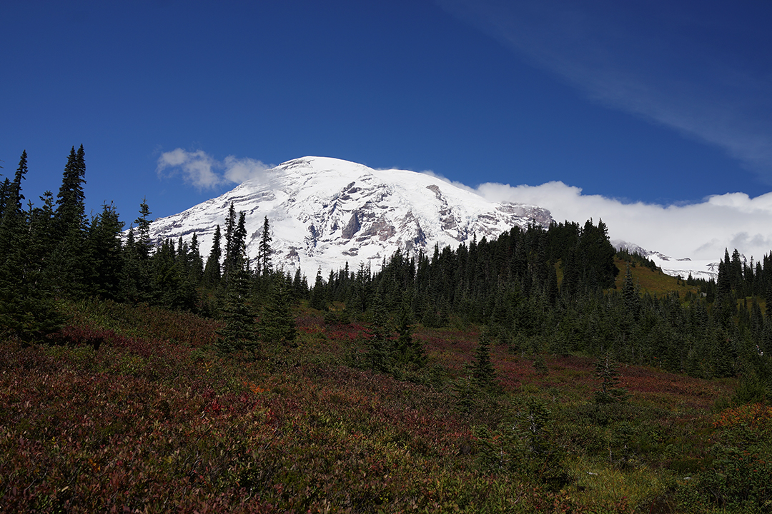 États-Unis, Nord-Ouest Pacifique, Mont Rainier