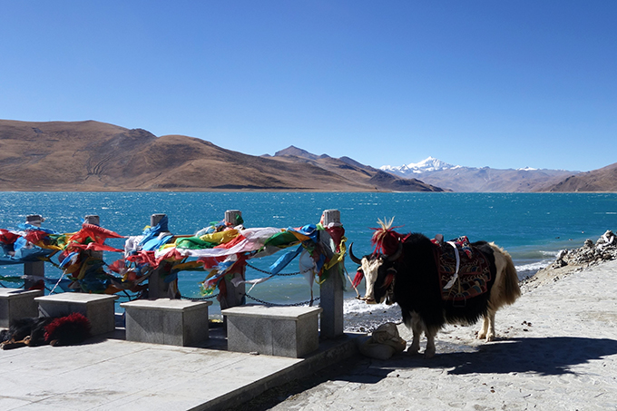 Spirituality of Tibetan People, Sacred Yamdrok Lake