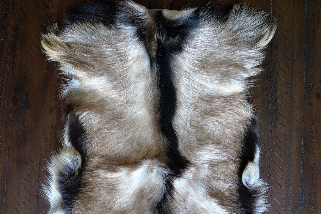 Poland, Goatskin Rug