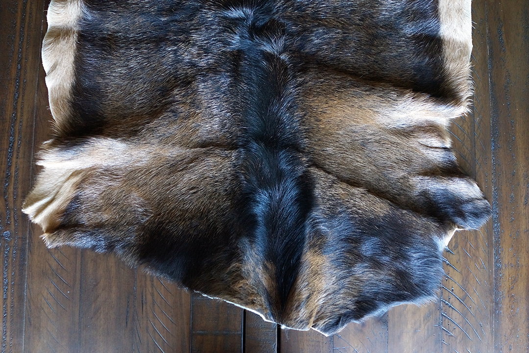 Polska, Brązowy Dywanik z Koziej Skóry