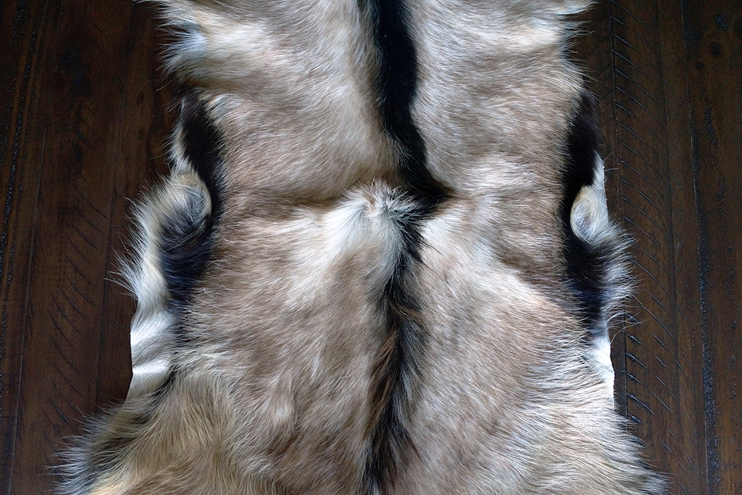 波兰, 山羊皮地毯