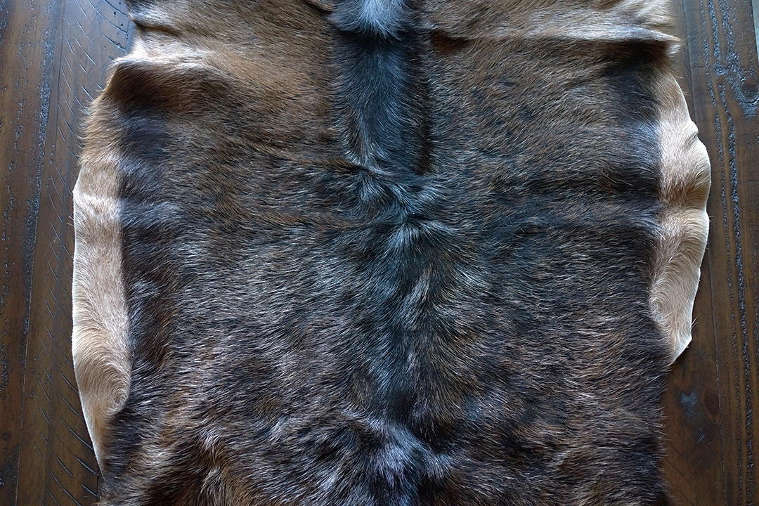 Polska, Brązowy Dywanik z Koziej Skóry